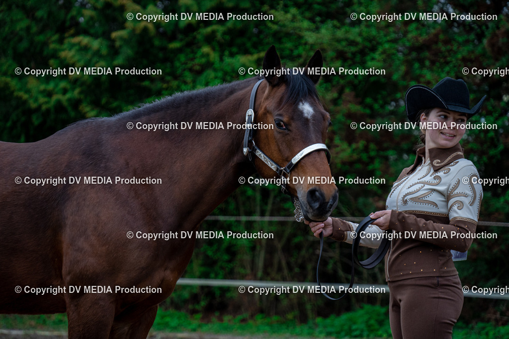 BA300064 | dv-media-shop - Realisiert mit Pictrs.com