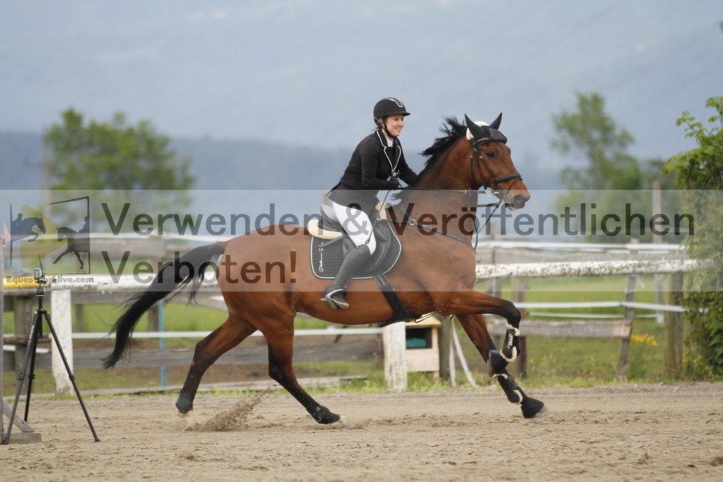 _MG_7631 | equestrian-live-com