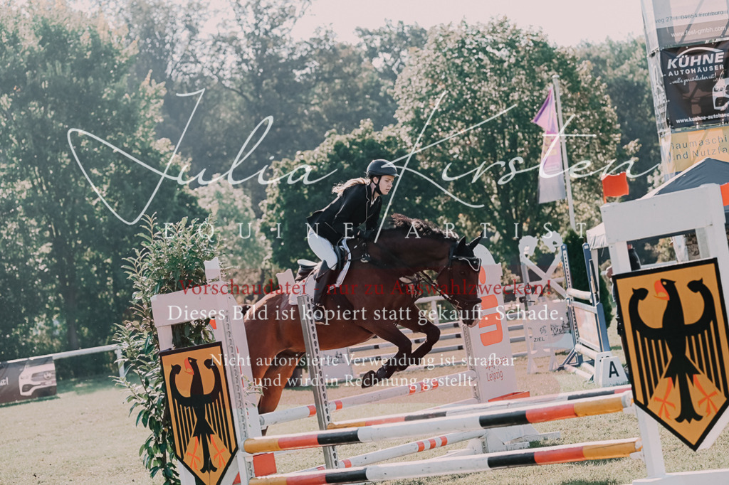 DSC_4546 | Pferde- und Turnierfotografie in Westsachsen. Pferdeportraits, Auftragszeichnungen und intuitive Kunst.