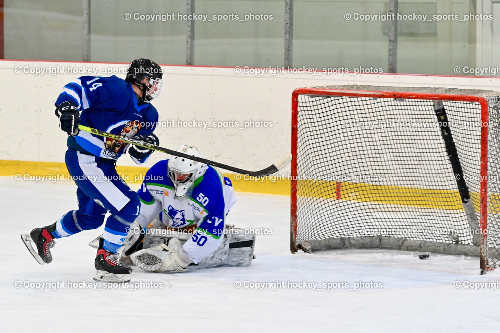  EC Tigers Paternion vs. EC Virgen 8.1.2022 | #14 Tschurnig Daniel, #50 Berger Matthias, Tor EC Tigers Paternion