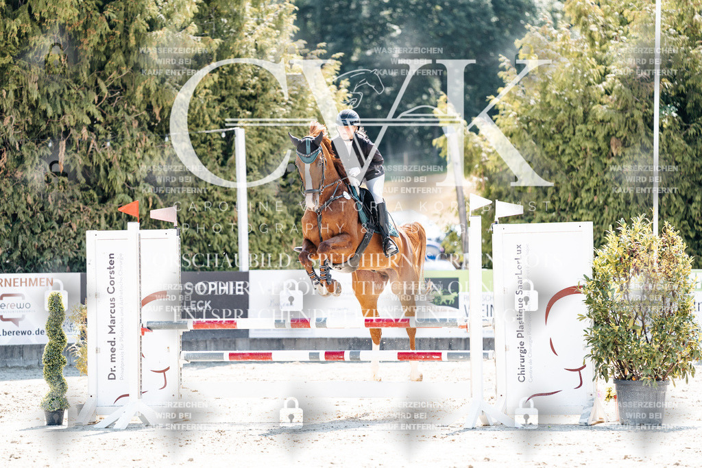 CK909364 | Turnierfotografie Pferdefotografie Trier Rheinland-Pfalz Pferdesport Reitsport Tierfotografie Sportfotografie Pferdevideo Pferdevideografie Equestrianvideography equestrianphotography  - Realisiert mit Pictrs.com