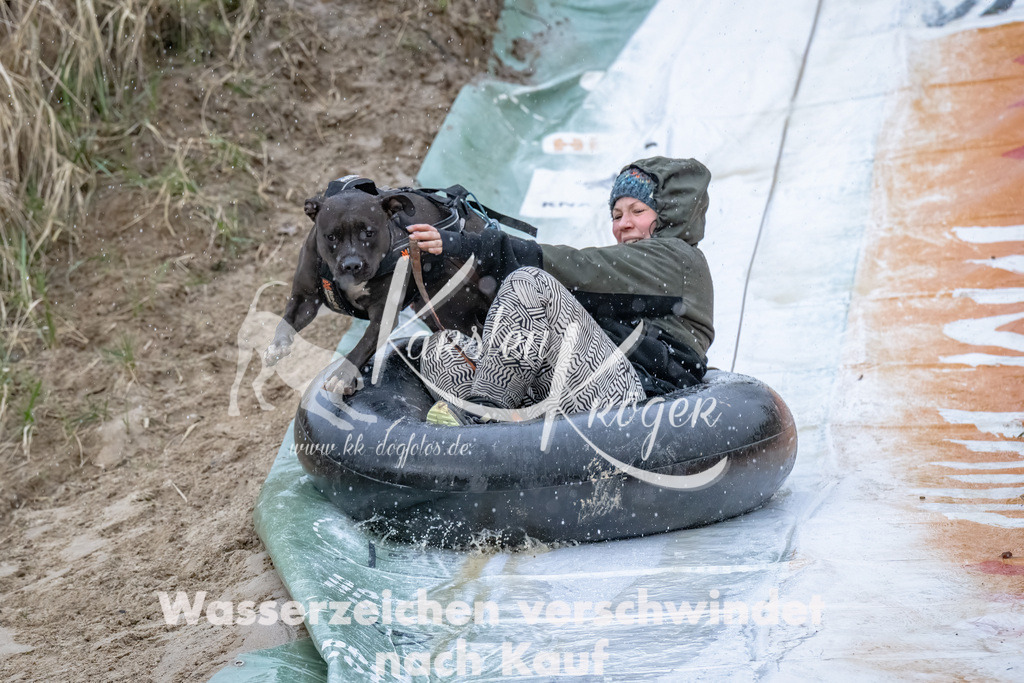 1538_ZZ90402-Bearbeitet | kk-dogfotos