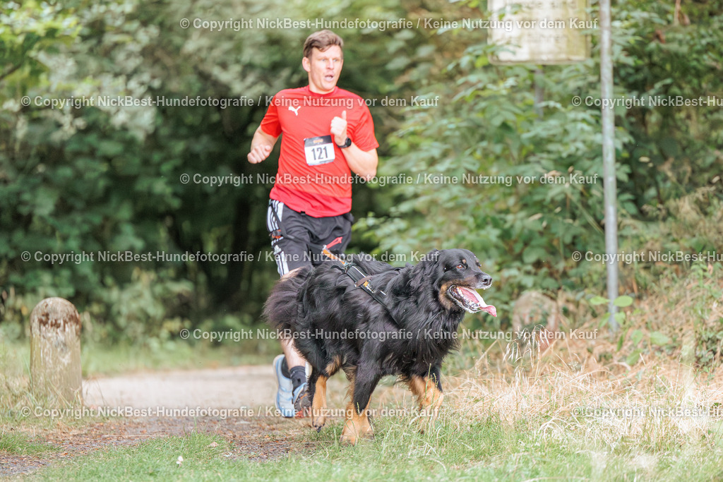 THS-Quakenbrück-2026-Nickbest-Hundefotografie-0366 | Dein Hund! Dein Moment! Deine Erinnerungen! Hundefotografie in Bremen Blumenthal. Ich fange die besonderen Momente deines Vierbeiners ein – ob Indoor mit Blitzanlage oder in der freien Natur. Sicher dir dein Moment und dein Termin für eure Erinnerungen.