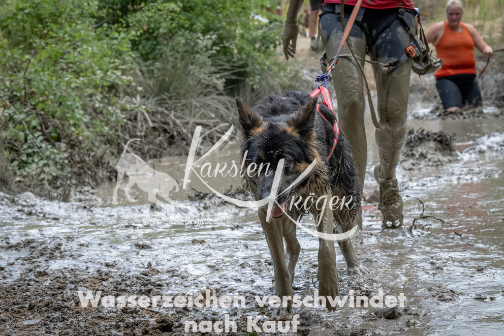 1439_ZZ93929 | kk-dogfotos