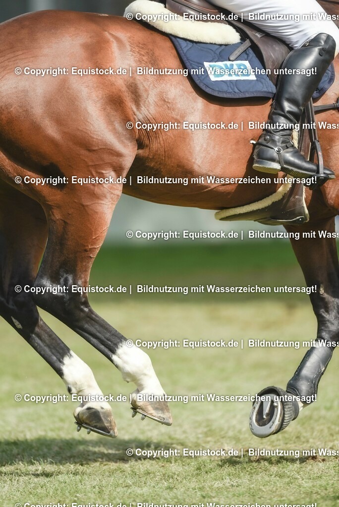20230529_20_CSI4_Großer-Preis_0555 | equistock