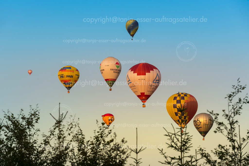 132 Ballons ueber dem Wald | Warsteiner internationale Montgolfiade ist die Veranstaltung mit Heißluftballons. Verschiedene Ballons fliegen über den Wald. Sonnenuntergang.