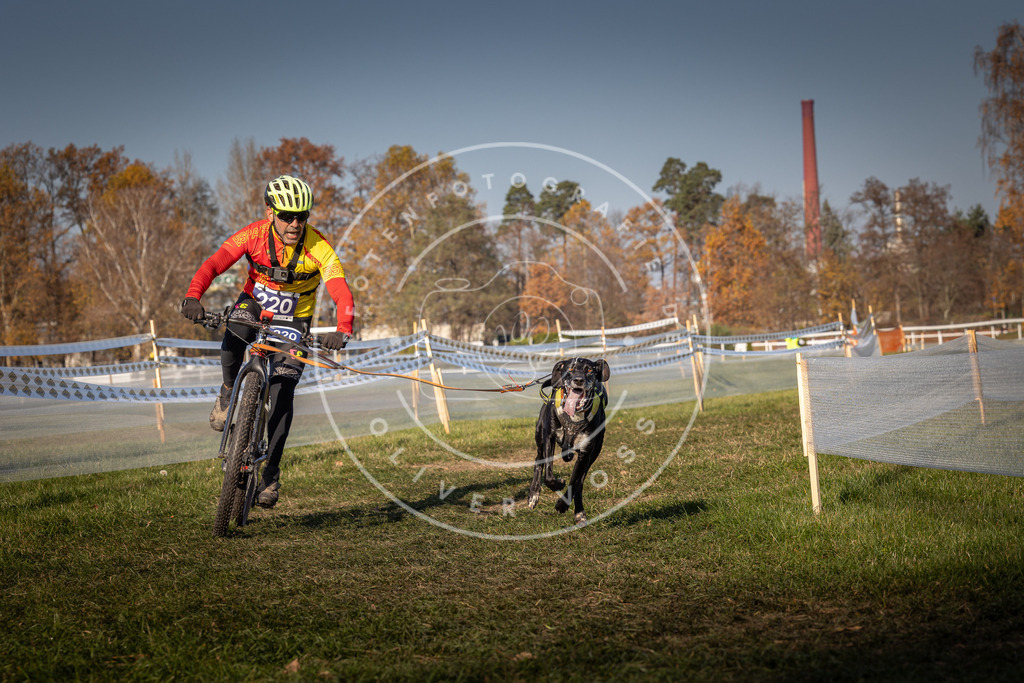 CaniXpix_0L8A6781 | Hundefotografie, Tierfotograf, Pfotenfotografie, Fotoshooting Hund, Hunde Portrait, Hundesport, Hundeportraits, Heideshooting, Hunde, Sportfotograf, Hundefotograf, Turnierhundsport, THS,  - Realisiert mit Pictrs.com