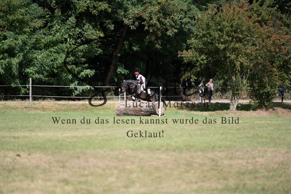 A7V01076 | Pferdefotograf