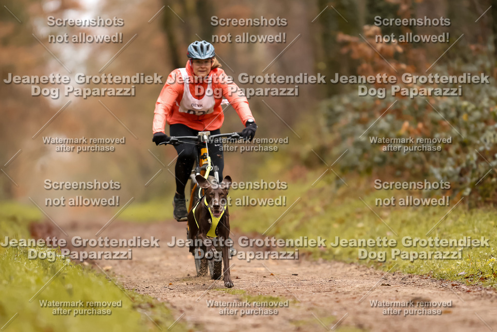 Dog Paparazzi - Speedhunter Mannheim  2025-4 | Dog Paparazzi Jeanette Grottendiek Fotografie & Videografie