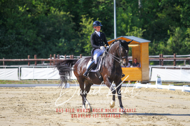 DKP42604 | Turniersportfotografie; Pferdefotografie; Dressurfotografie