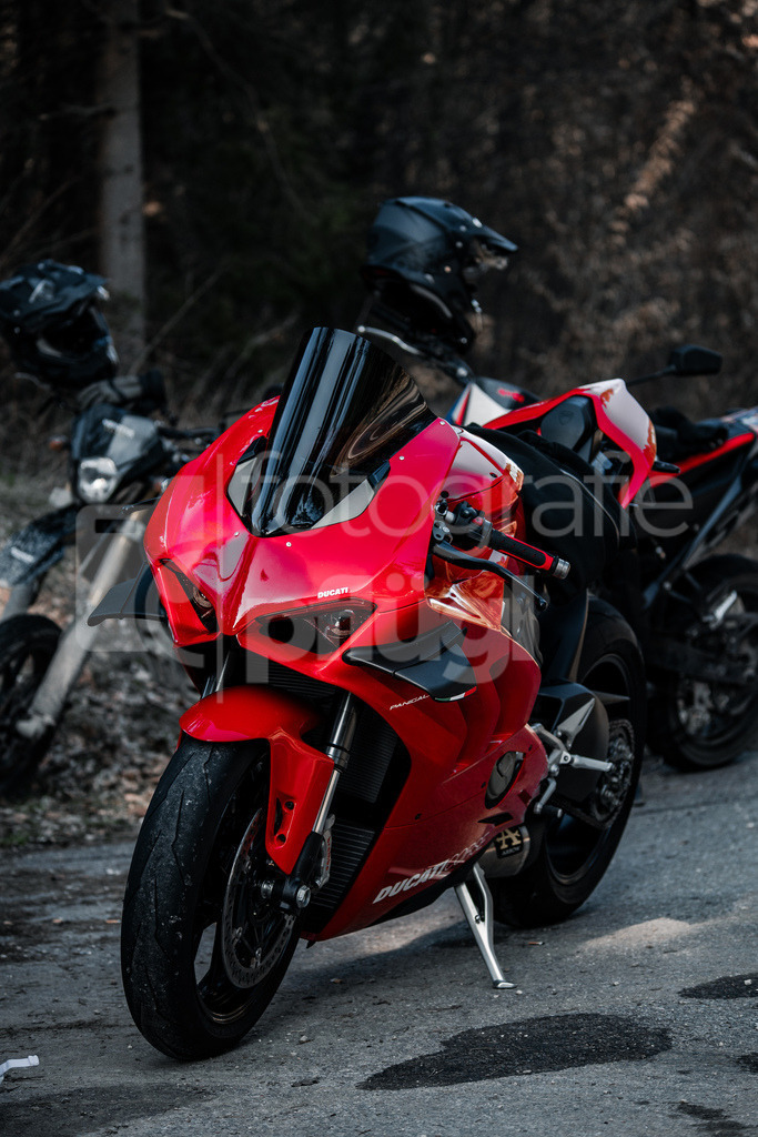 001A4402 | fotografie-pfluegl - Realisiert mit Pictrs.com