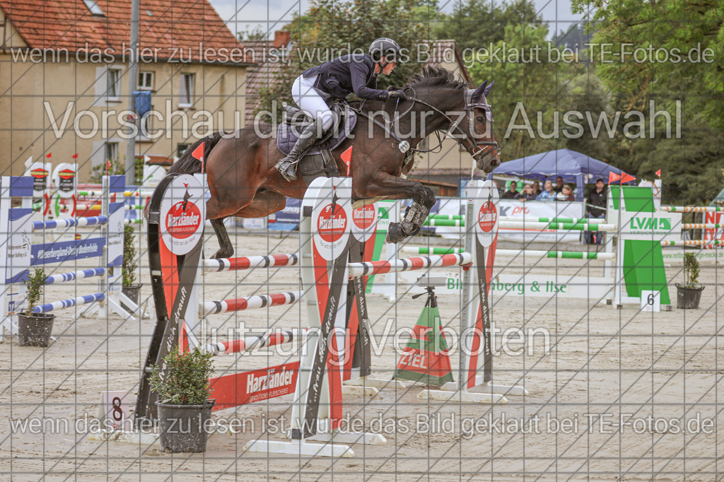 2025-09-22_11-07-35_MG_8912 | TE-Fotos