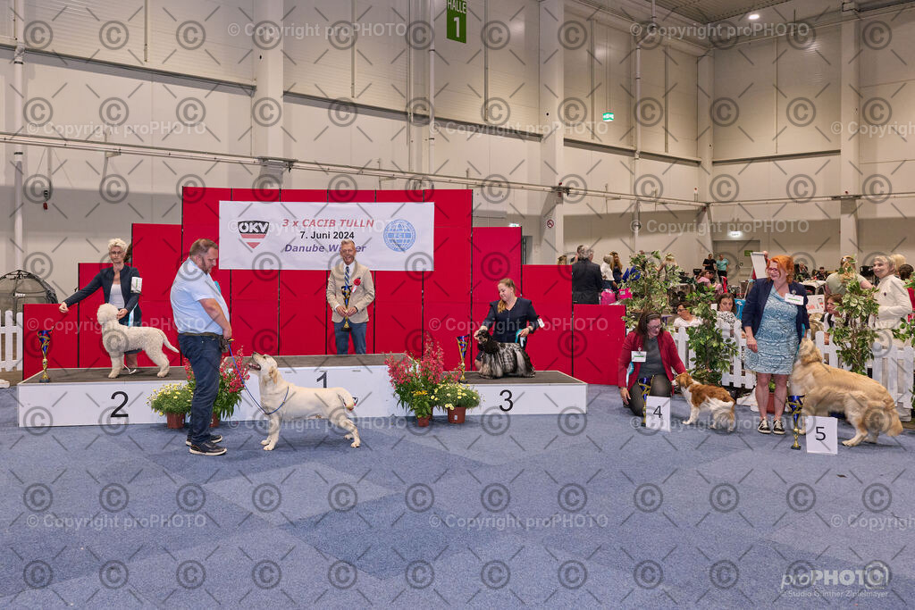 202406_ÖKV-IHA-Tulln24_NZ9_7874 | proPHOTO - Realisiert mit Pictrs.com