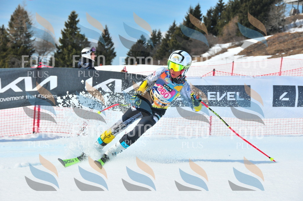 DSC_7037 | holidayphoto