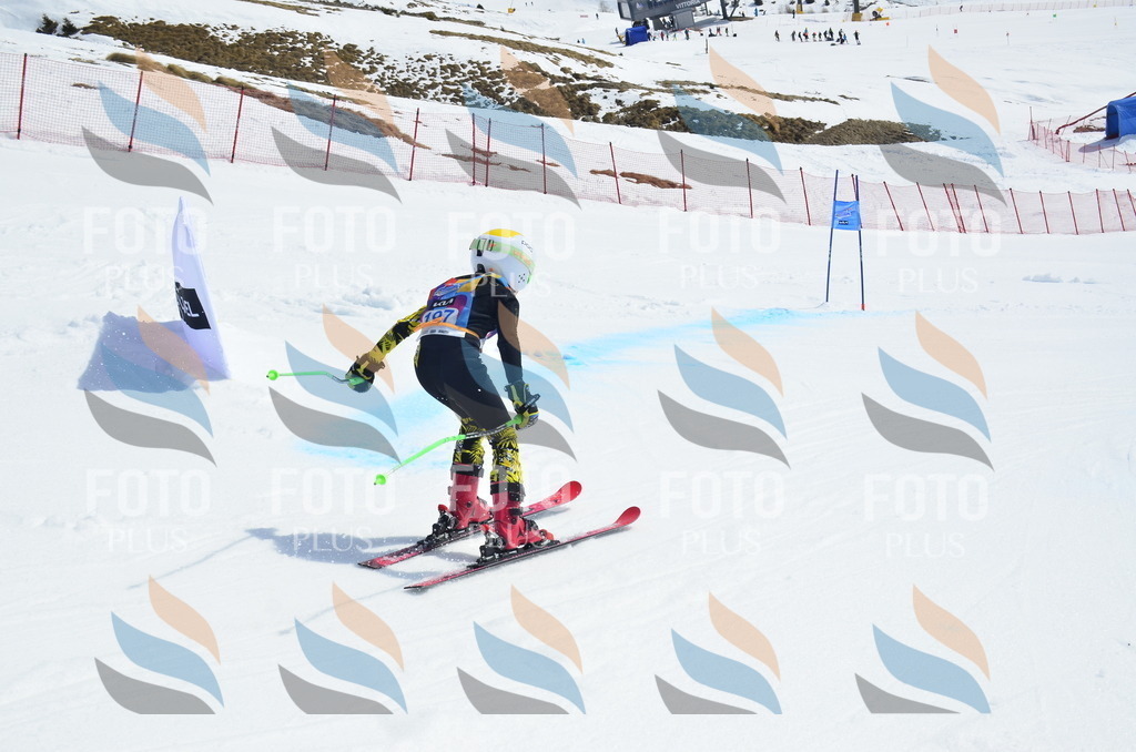 _ELE1342 | holidayphoto