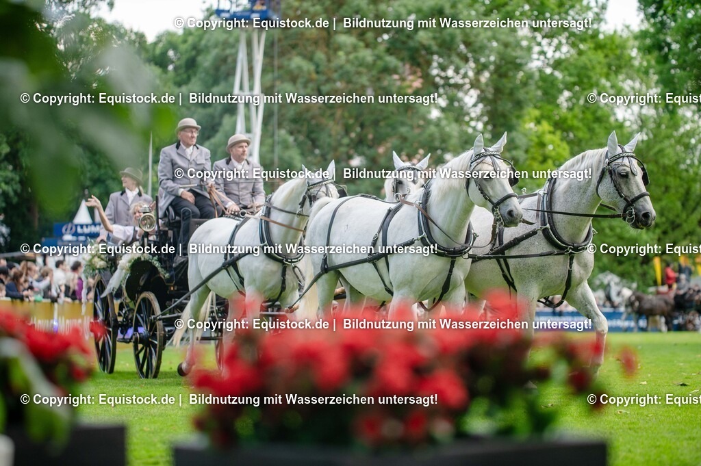 20250606_Lange-Pferdenacht_0165 | Foto: Thomas Hartig