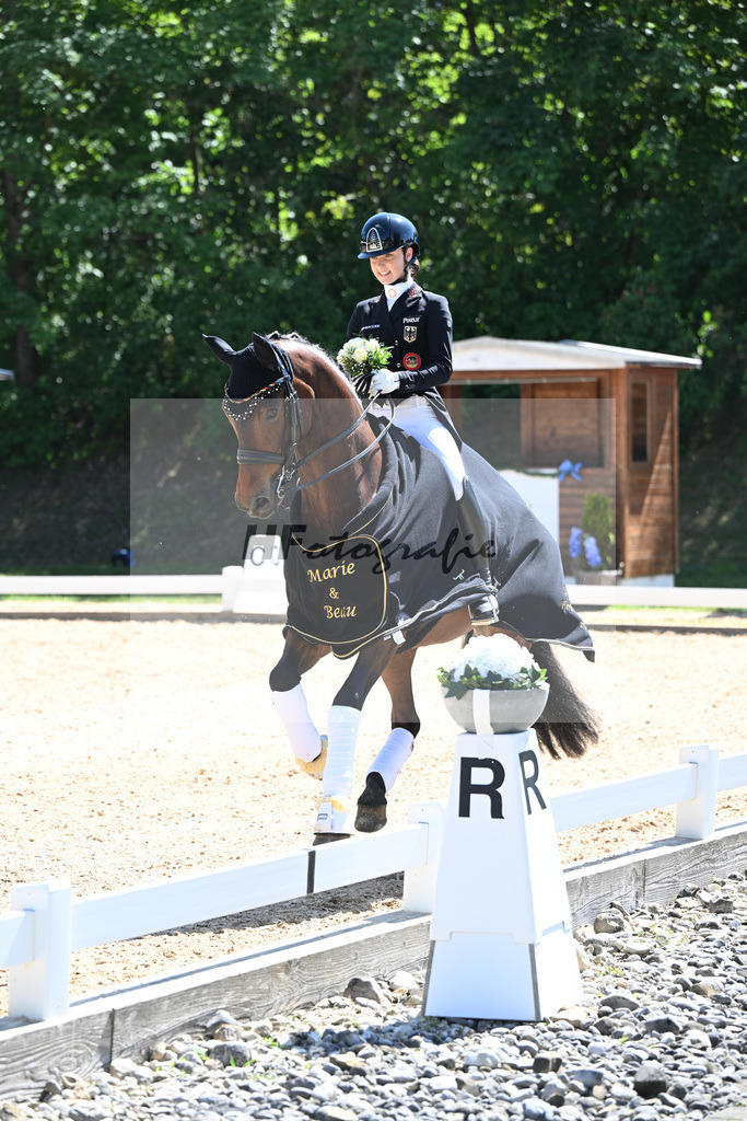Goldenes Reitabzeichen_Marie Sohler_11253426 | hf-fotografie - Realisiert mit Pictrs.com