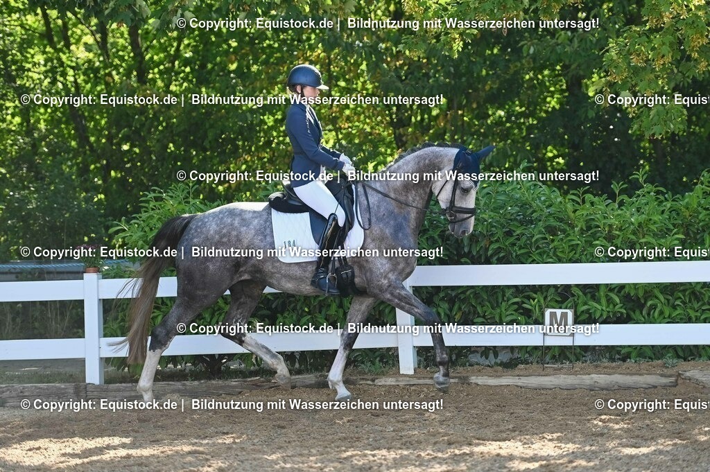 20230715_06_Dressurpferdeprfg. Kl.A_0299 | equistock