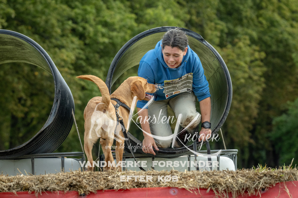 1042_ZZ92971 | kk-dogfotos