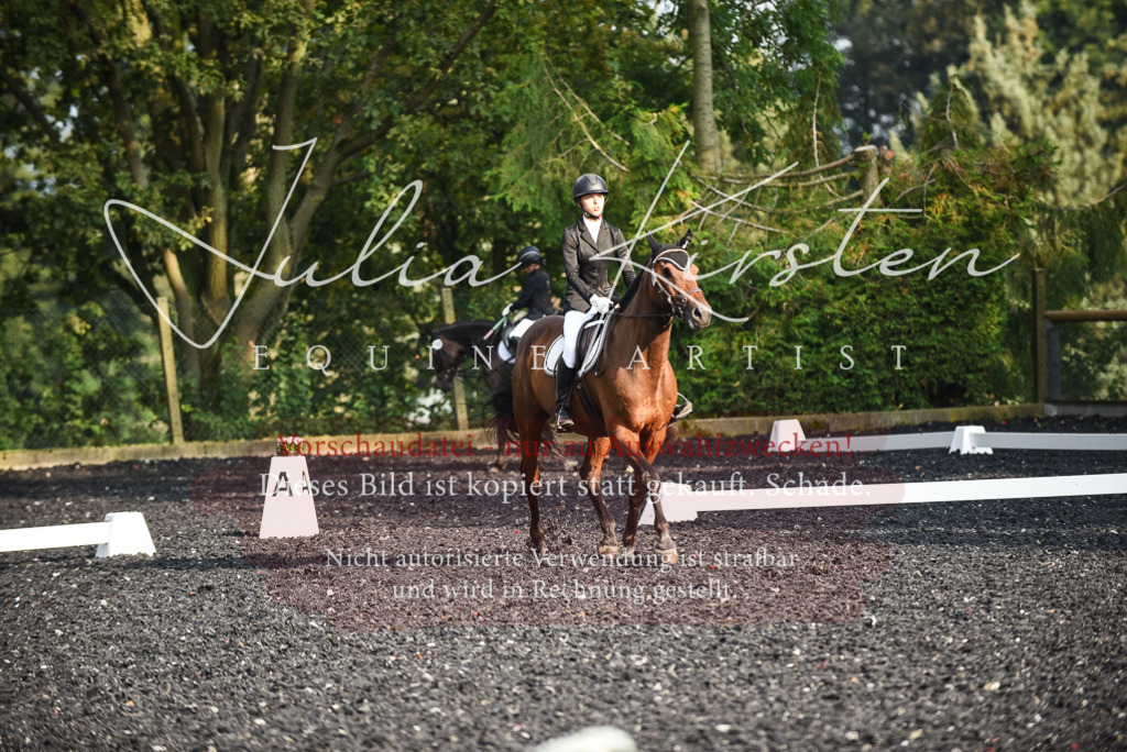 DSC_3502 | Pferde- und Turnierfotografie in Westsachsen. Pferdeportraits, Auftragszeichnungen und intuitive Kunst.