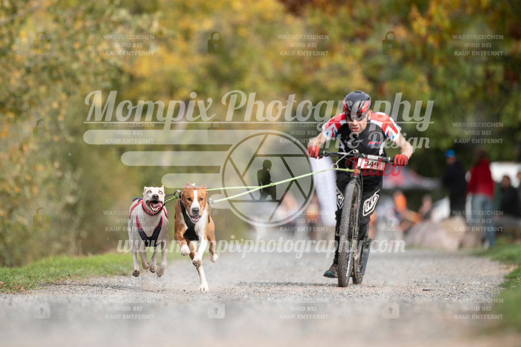 TSB_2023_E2_DS2-15 | PayLife