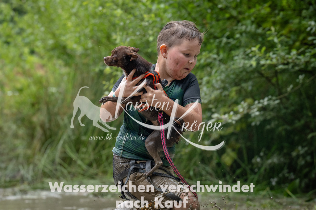 1338_ZZ91250 | kk-dogfotos