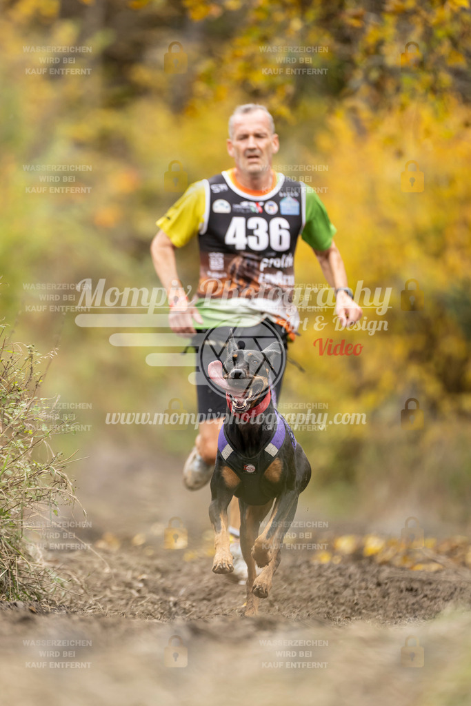 MompixPhotography_ICF_WC_2024_SA_Run_-432 | PayLife