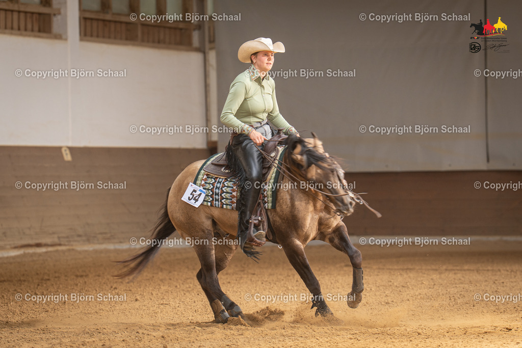 LMS07932 | BS-foto