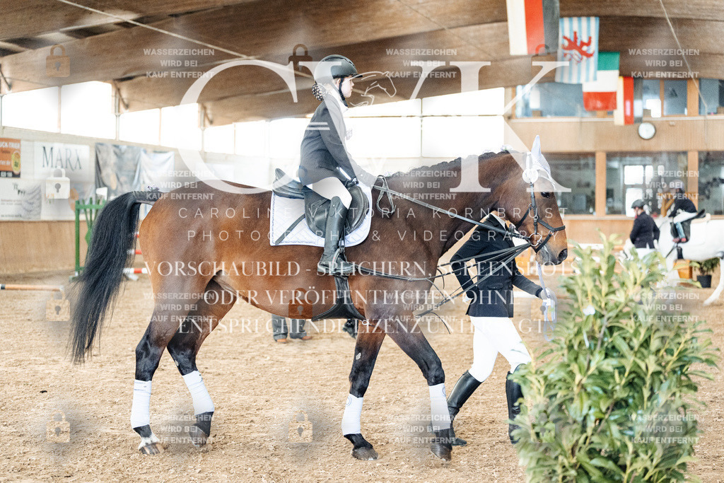 CK905604 | Turnierfotografie Pferdefotografie Trier Rheinland-Pfalz Pferdesport Reitsport Tierfotografie Sportfotografie Pferdevideo Pferdevideografie Equestrianvideography equestrianphotography  - Realized with Pictrs.com