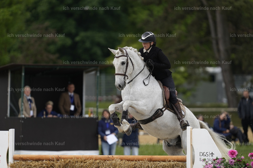 PI26_SP_Stoibphotography_A746984.JPG | working equitationturnier fotograf videograf stoibphotography marixx film working equitation deutschland reitsport turnierfotografie eventfotografie equestrian events