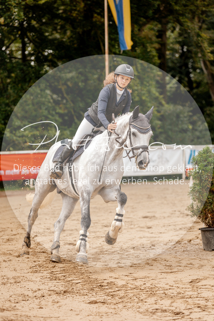 3I6A6574 | Stimmungsvolle Portraits und Reitsportfotografie im Ruhrgebiet und im Münsterland.

Pferdefotografie, Hundefotografie, Tierfotografie, Reportagen, Portraits von Tier und Mensch, Turnierfotografie in Bochum, Recklinghausen, Marl, Haltern am See, Dülmen.. - Realisiert mit Pictrs.com