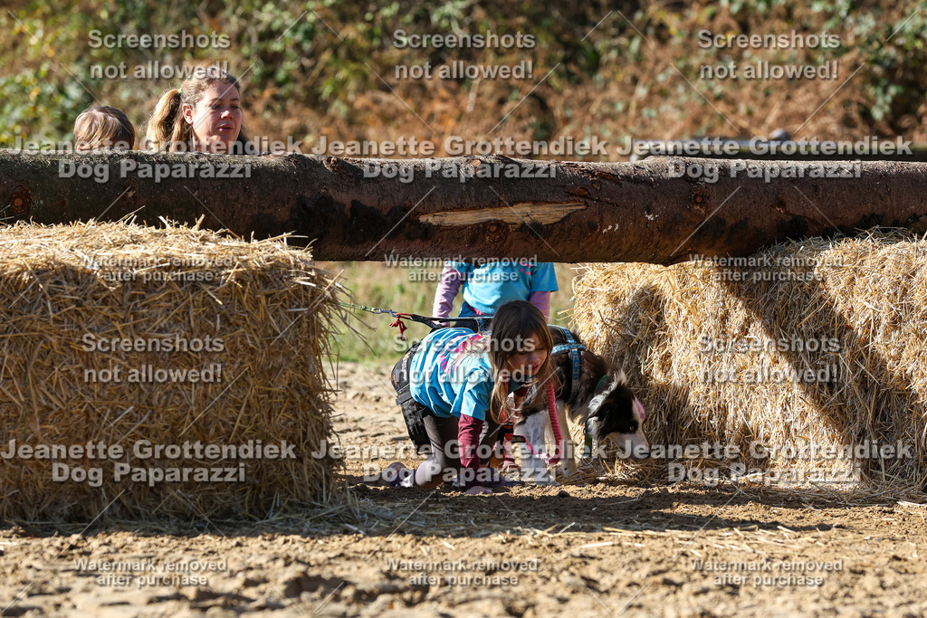 Dog Paparazzi - Strongdog 10-25-2942 | Dog Paparazzi Jeanette Grottendiek Fotografie & Videografie - Realisiert mit Pictrs.com