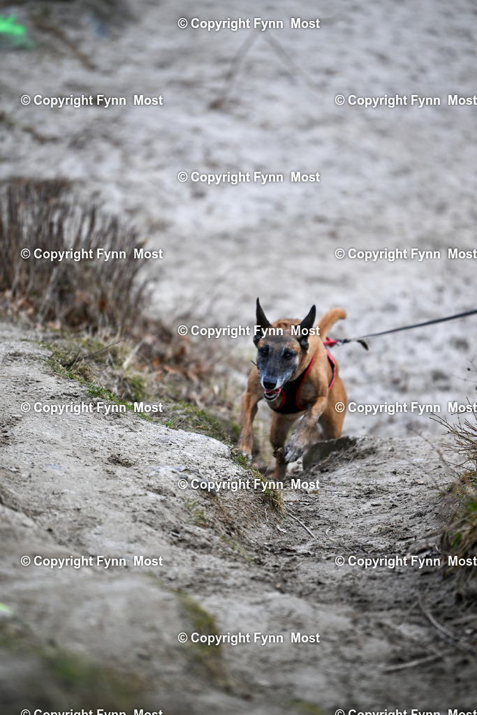 DSC_1298 | Hallo und herzlich Willkommen auf meiner Shop-Seite Fynn Most.

Ich wünsche Dir viel Spaß beim stöbern durch die Bilder, wenn Du Fragen hast oder Bilder vermisst, kannst du mir gerne eine Nachricht schreiben. - Realisiert mit Pictrs.com