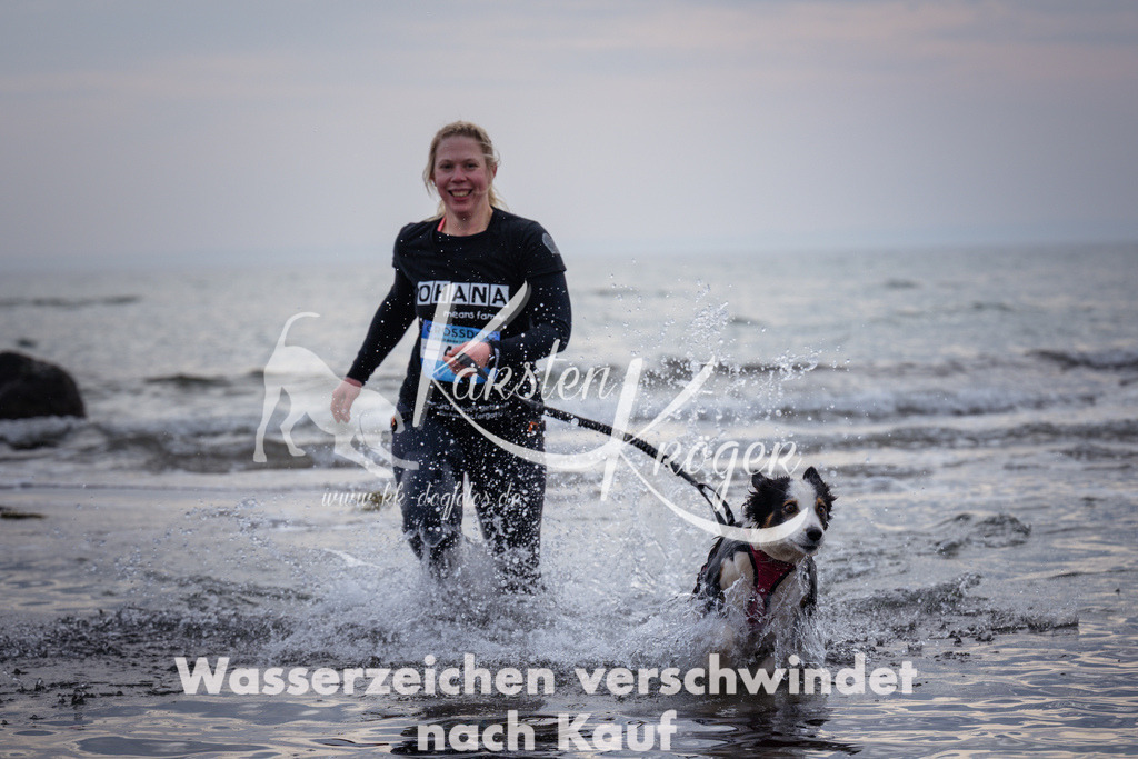 1139_ZZ99909 | kk-dogfotos