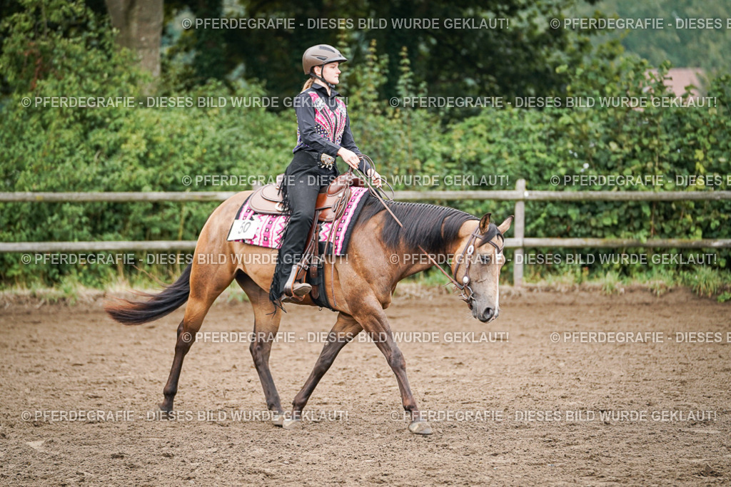 DSC02487 | Pferdegrafie