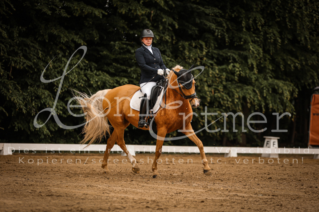 DoDrA00162 | Leoni Ertmer Photography - Realisiert mit Pictrs.com