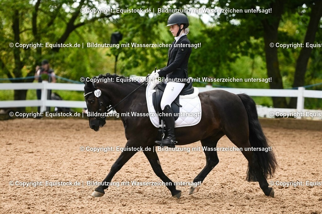 20230716_04_Dressurreiterprüfung Kl.A_0301 | equistock