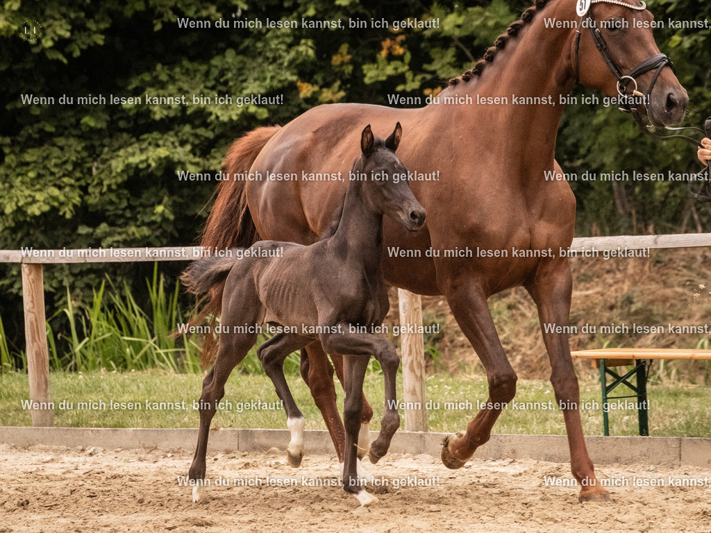 A10I5054 | photographylinaismer - Realisiert mit Pictrs.com