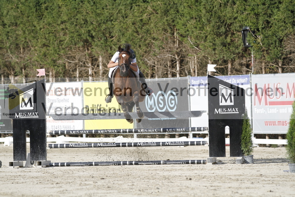 _MG_0001 | equestrian-live-com