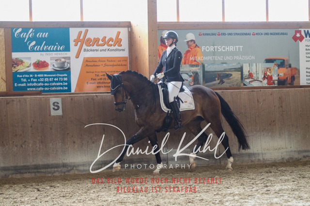 DKP43472 | Turniersportfotografie; Pferdefotografie; Dressurfotografie