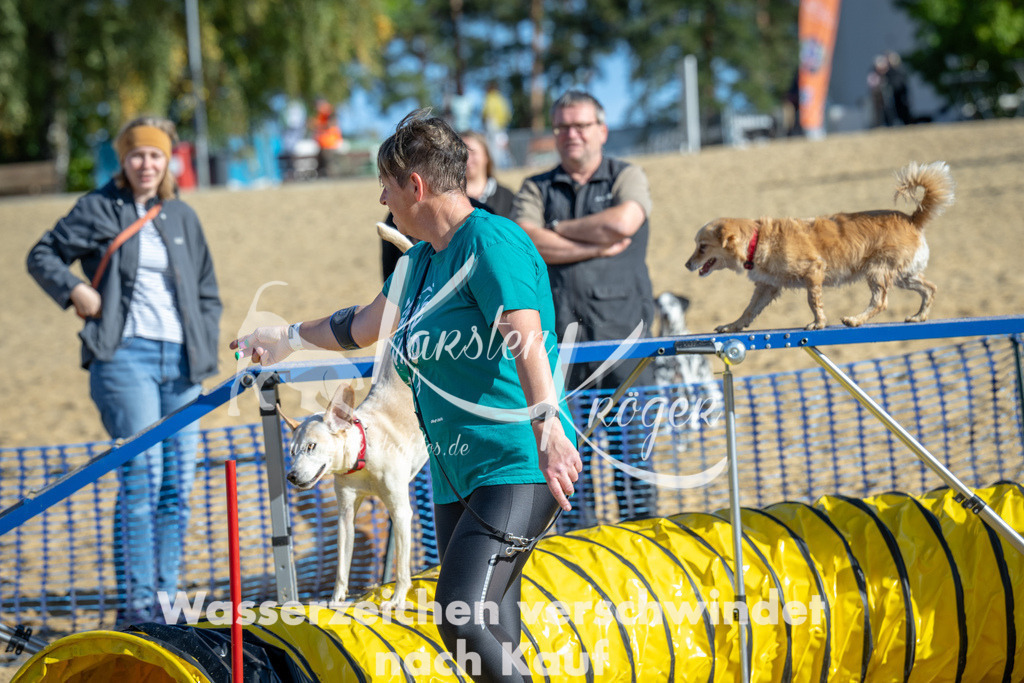 1118_ZZ90973 | kk-dogfotos