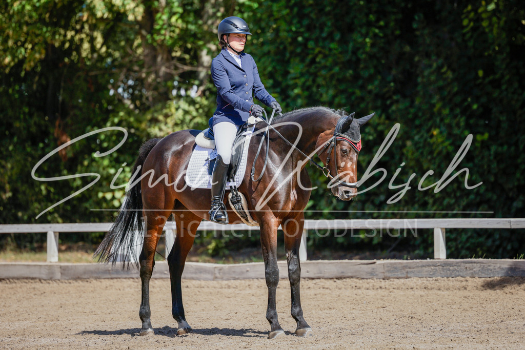 20250906-_3LI4287 | Tierfotografie Pferde, Hunde, Katzen, Haustiere.
Turnierfotografie Reitturniere, Reiten, Springreiten, Dressur in Hanau, dem Main-Kinzig-Kreis und dem Rhein-Main- Gebiet um Frankfurt