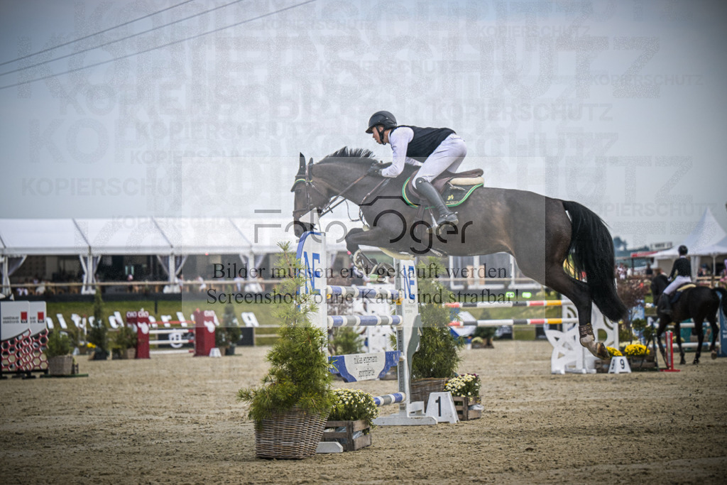 DOS_1041 | Entdecke hochwertige Reitturnierfotos von Foto Oger. Professionell, emotional und authentisch – jetzt Lieblingsmomente im Shop bestellen.Deutschlandweite Turnierfotografie. - Realisiert mit Pictrs.com