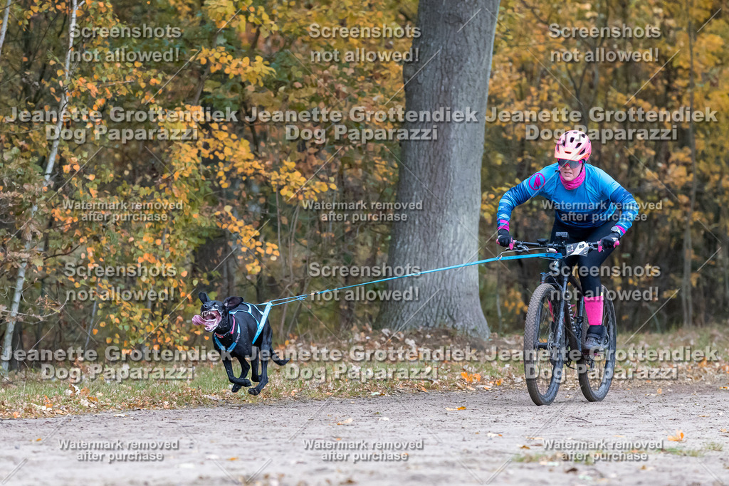 Dog Paparazzi - SD CaniX Championship 2025-205 | Dog Paparazzi Jeanette Grottendiek Fotografie & Videografie - Realisiert mit Pictrs.com