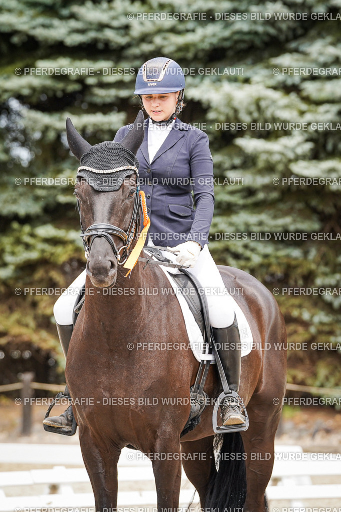 DSC04548 | Pferdegrafie