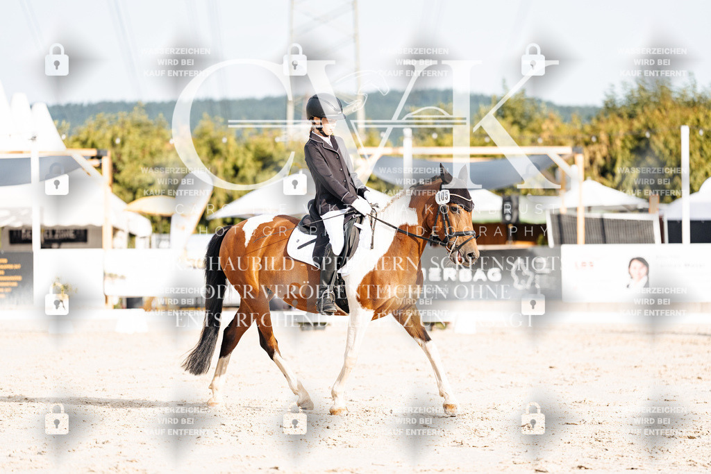 CK903926 | Turnierfotografie Pferdefotografie Trier Rheinland-Pfalz Pferdesport Reitsport Tierfotografie Sportfotografie Pferdevideo Pferdevideografie Equestrianvideography equestrianphotography  - Realisiert mit Pictrs.com
