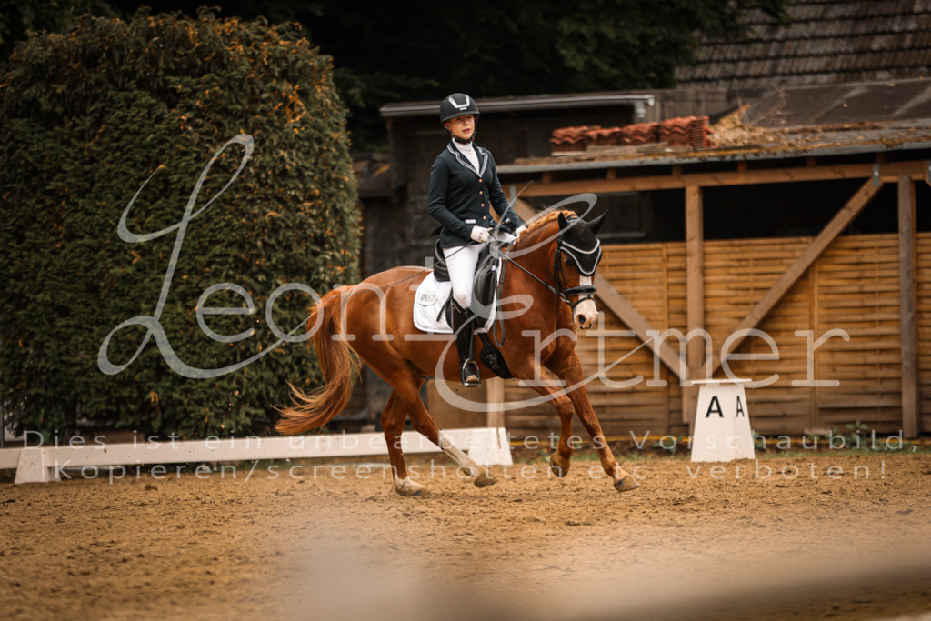 DoDrE00201 | Leoni Ertmer Photography - Realisiert mit Pictrs.com