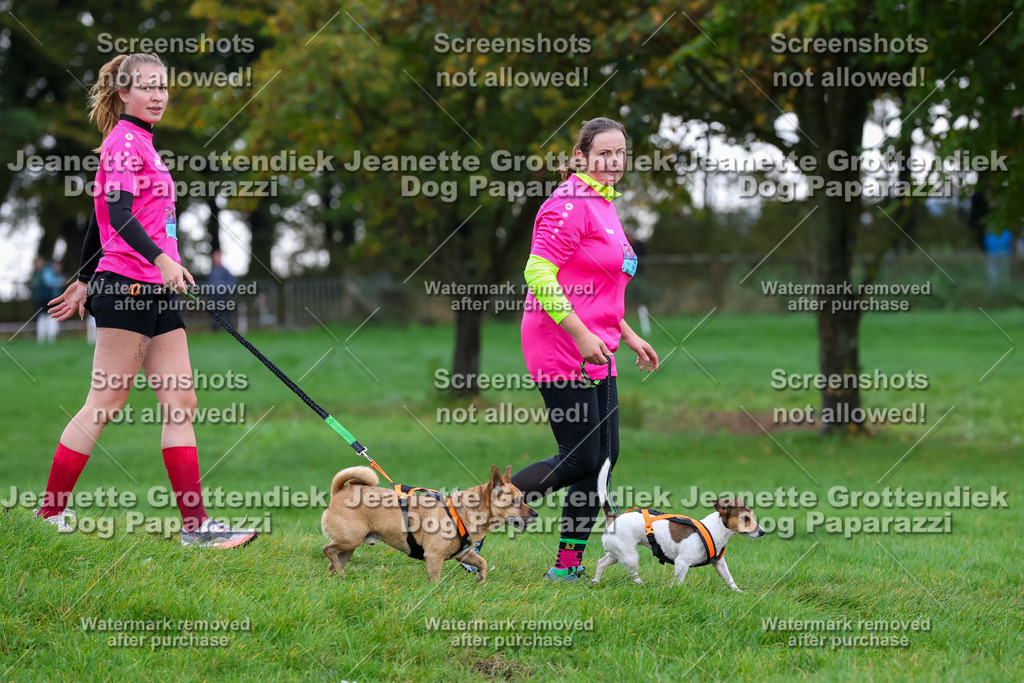 Dog Paparazzi -  SD1026-1993 | Dog Paparazzi Jeanette Grottendiek Fotografie & Videografie - Realisiert mit Pictrs.com