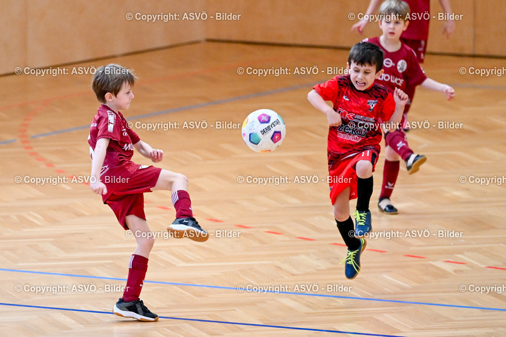 ASVÖ_ Fussball Nachwuchs Hallenturnier 2026_ SV Gallneukirchen_ 28.02.2026-301 | 28.02.2026, Gallneukirchen, AUT, ASVÖ, Fussball Nachwuchs Hallenturnier 2026, SV Gallneukirchen im Bild Teilnehmer U7©Harald Dostal / fodo.media - Realisiert mit Pictrs.com