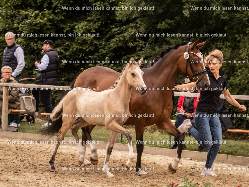 A10I3143-Verbessert-RR 15.56.14 | photographylinaismer - Realisiert mit Pictrs.com